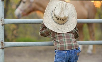 Small Cowboy looking at a horse
